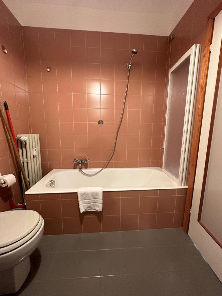 Alpine Dream Apartments Bormio Kültér fotó
